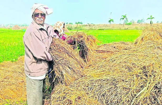 అన్నద