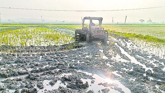 ఆవేదన మిగిల్చిన ‘మొగి’ 