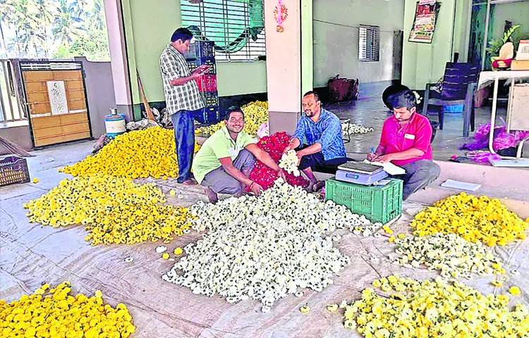 Flower prices have fallen in the market in the past few days