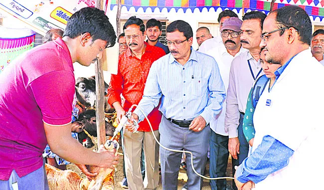 పశు ఆరోగ్య శిబిరాలను సద్వినియోగం చేసుకోండి 