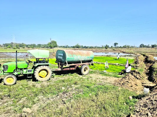 నారుకు ట్యాంకర్‌తో నీరు