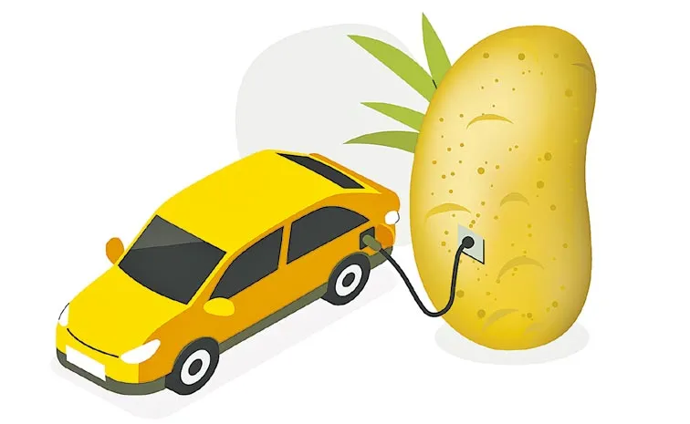 Ethanol production from potato peel and waste