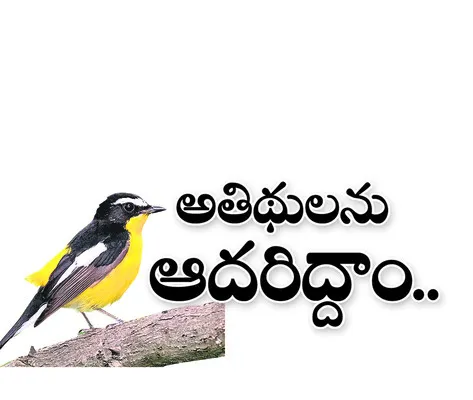 ఆదివా