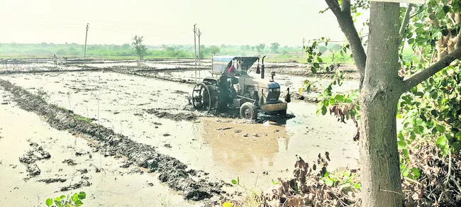 యాసంగ