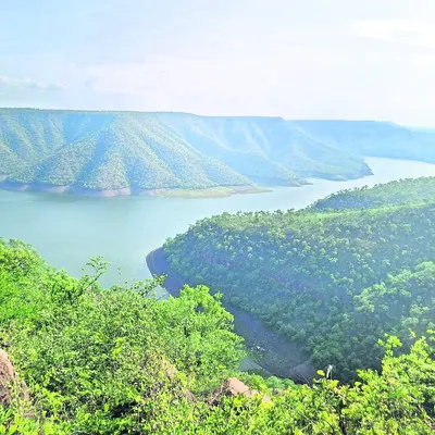 ఆక్టోపస్‌ వ్యూ పాయింట్‌