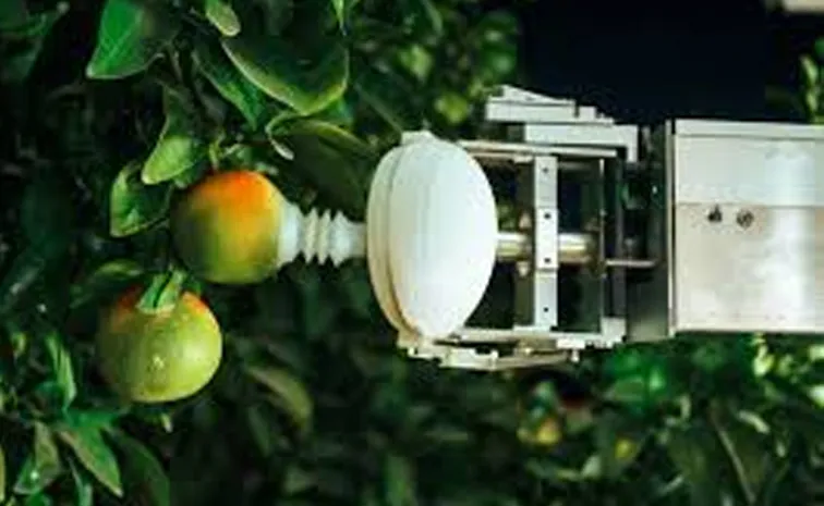 A Baahubali robot that cuts 8 tons of fruit a day!