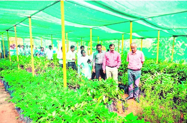 గ్రామాల్లో అభివృద్ధి పనుల పరిశీలన