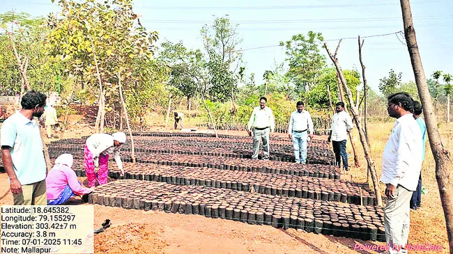 ఆస్తిపన్ను వసూలు చేయండి 