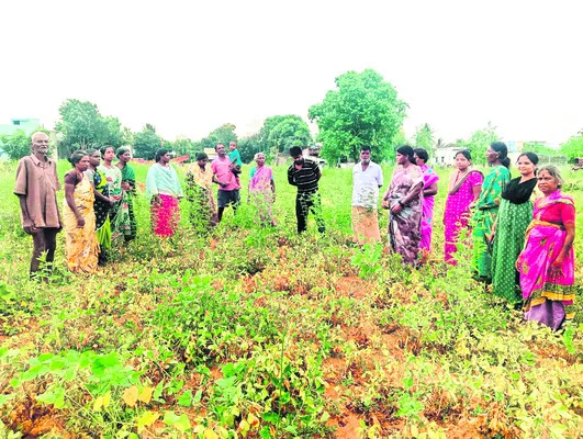 ఊతమిస్తేనే.. ఊపిరొచ్చేది!