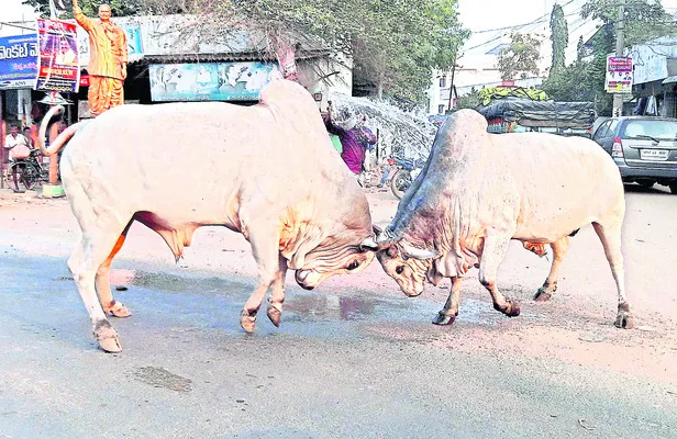 కళ్లప్పగించేలా.. ఒళ్లు జలదరించేలా.. 