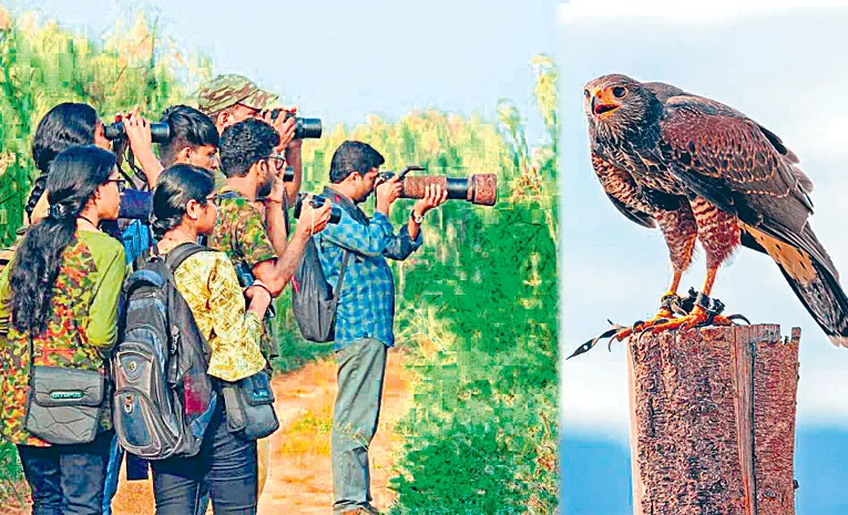 Hyderabad Bird Atlas