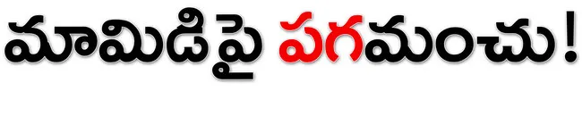 మామిడ