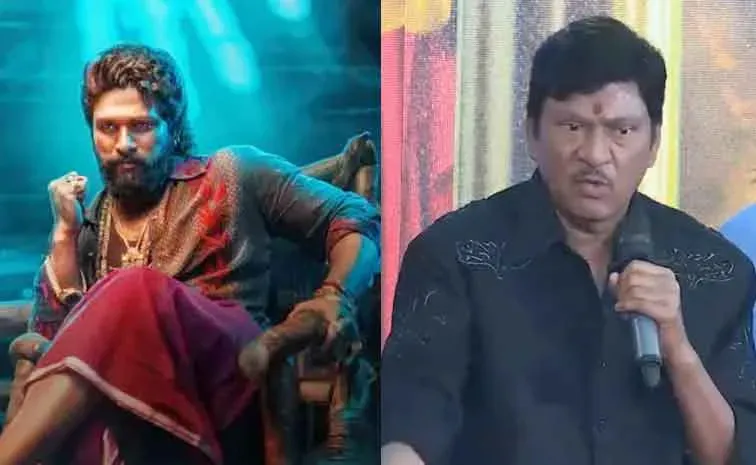 Rajendra Prasad Responds On Pushpa 2 comments On event