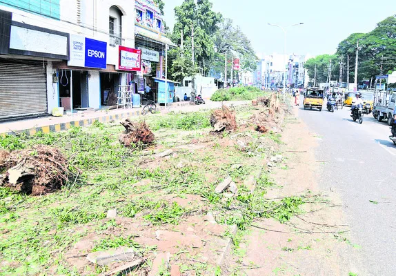 రథసప్తమి నేపథ్యంలో.. 
