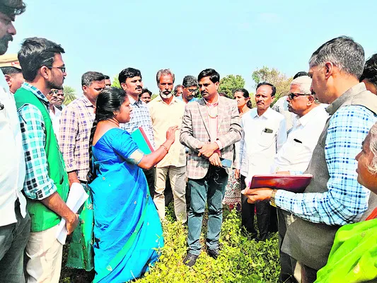 తీవ్ర కరువుమండలంగా గుడిపాల