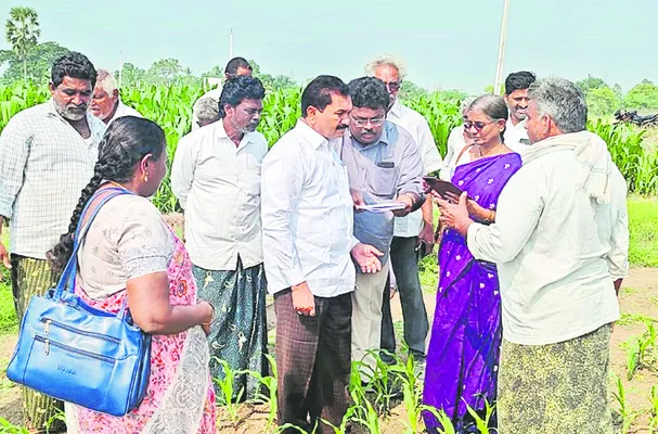 ఆర్‌ఎస్‌కేల ద్వారా ధాన్యం కొనుగోలు 