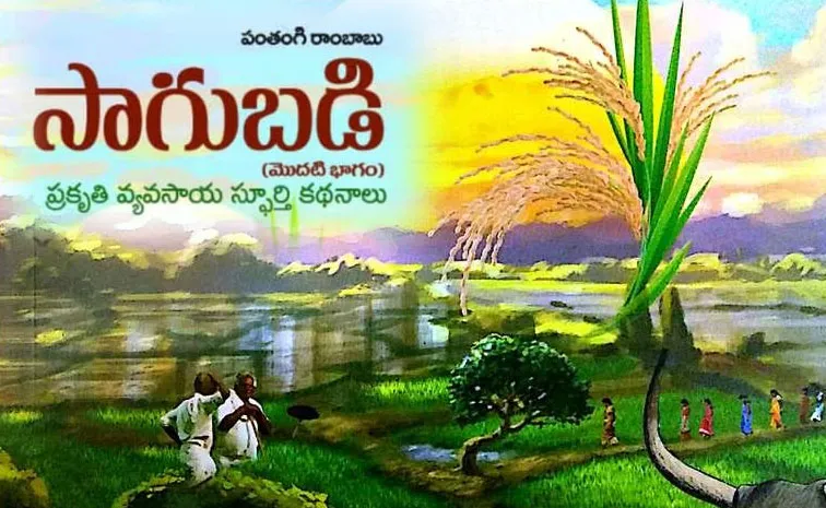 Pathangi Rambabu Saagubadi book review