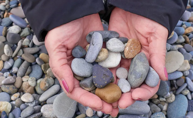 Are you picking up rocks on the beach? Don't do it because