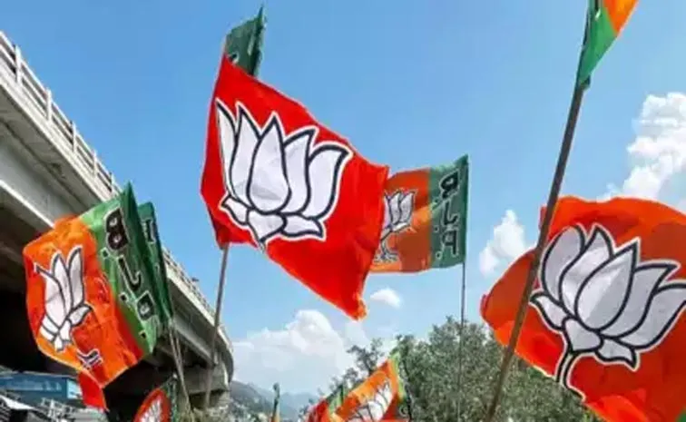 BJP spent Rs1,737.68 cr for 2024 Lok Sabha polls