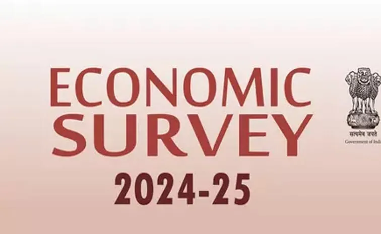 Sakshi Special Story About Economic Survey 2024-25