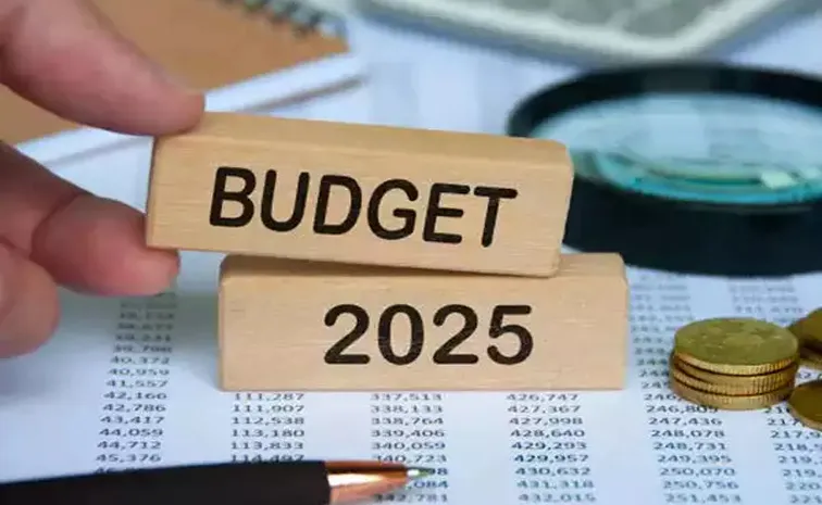 Union Budget 2025 sparked a variety of reactions from notable personalities across different sectors