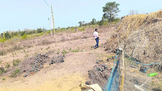 వడివడిగా అడుగులు 