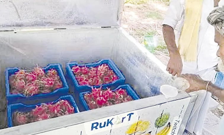 Subjee Cooler in farmers markets: IIT develops Subjee Cooler Bombay students