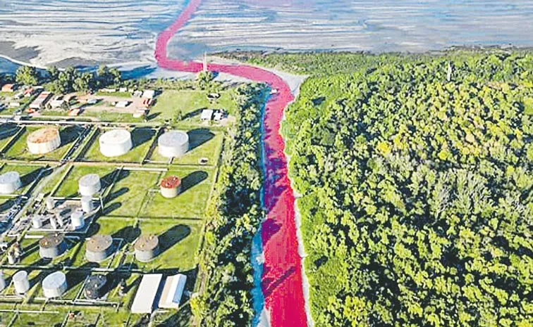 Argentina canal on outskirts of Buenos Aires turns bright red