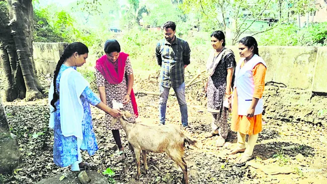 వేటమా