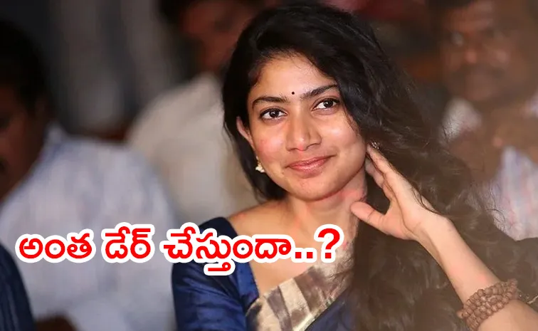 Sai Pallavi Upcoming Movie With Star Hero