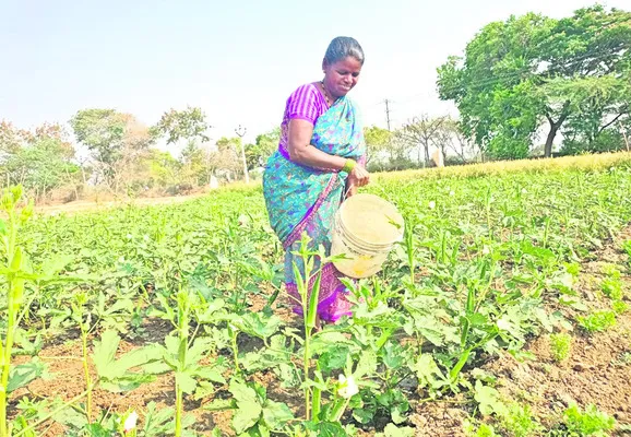 జిల్లాలో ఇదీ పరిస్థితి  
