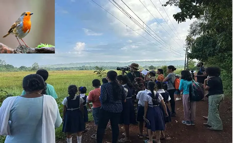 Childrens Bird Walk during Great Backyard Bird Count In Eight Cities