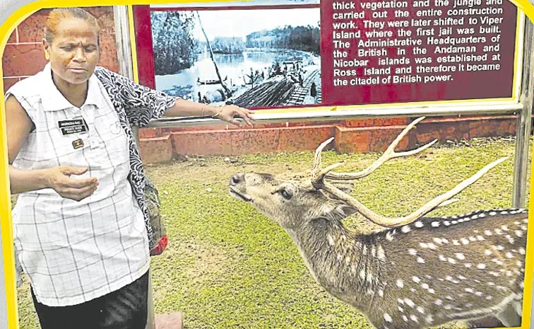 Meet Andaman Deer Woman Anuradha Rao and her 25 year journey to foster trust between humans