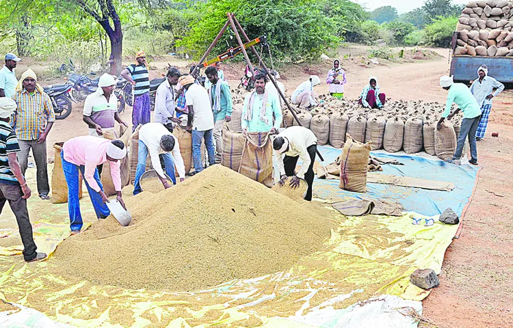 Rainy season grain is for private traders only