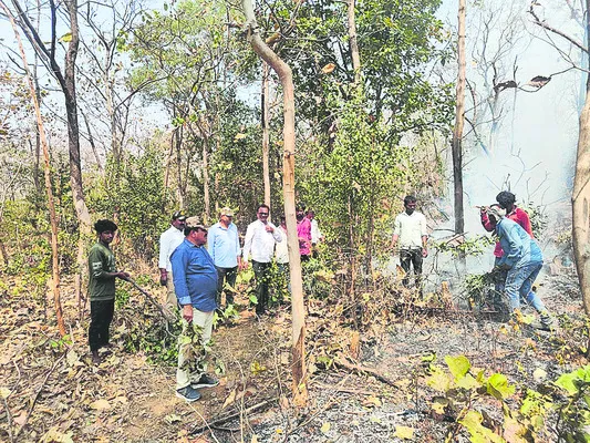 వైద్య