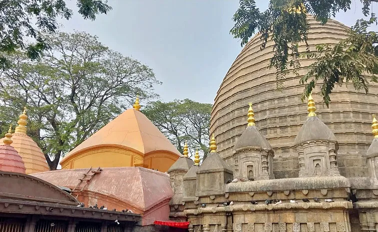 Essay On The Special Features Of Kamakhya Temple