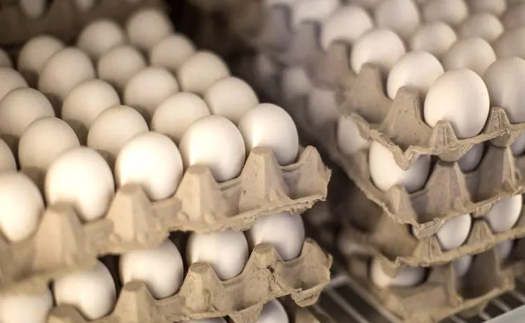 bird flu affect low in egg price