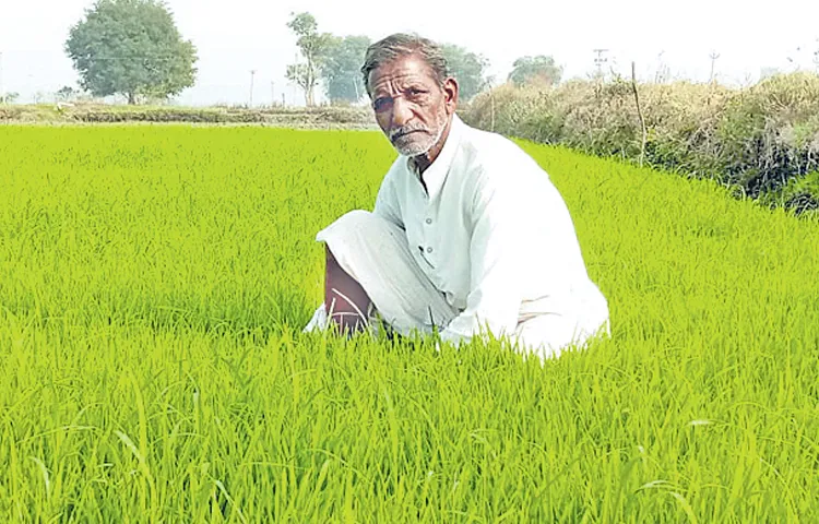 NABARD crop loans have decreased