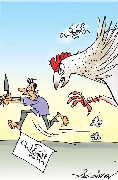 Bird Flu Alert In Telugu States 