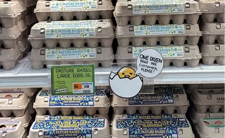 Egg Prices Sky Rockets In America Due To Bird Flu