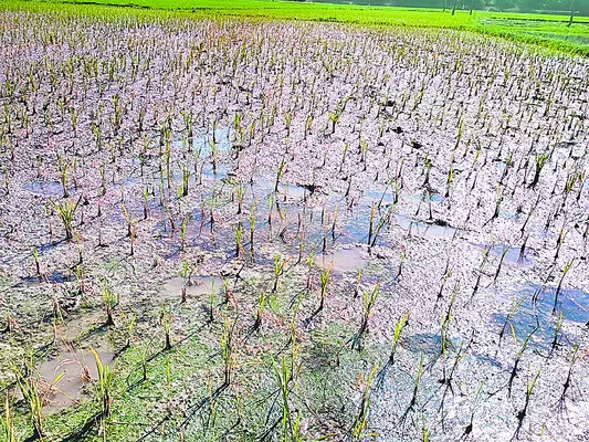 కష్టం