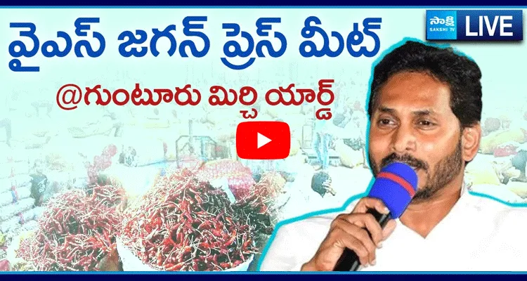 YS Jagan Serious On Chandrababu Govt Over Negligence On Mirchi Farmers