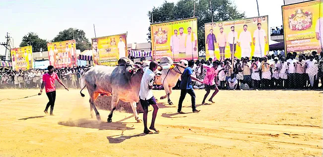 ముగిసిన రాష్ట్ర స్థాయి వృషభాల బల ప్రదర్శన 