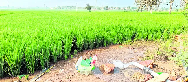 స్వచ్ఛమైన పెట్రోల్‌ అందిస్తాం
