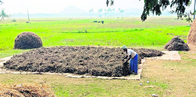 అపరాల