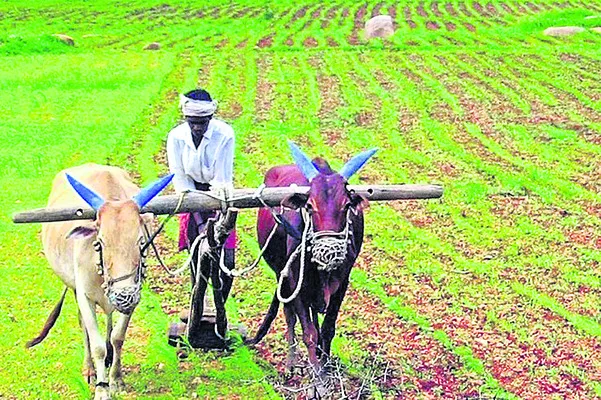 వ్యవసాయ రంగానికి ప్రోత్సాహం
