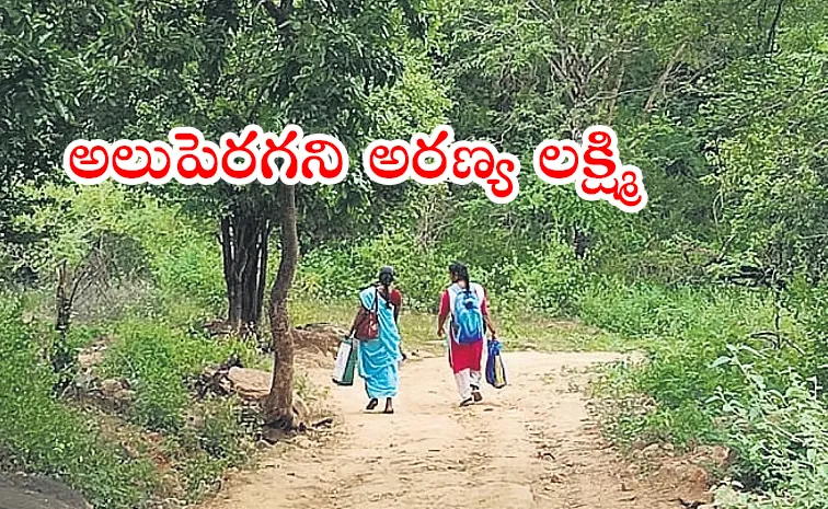 Teacher Annalakshmi Working At The Lone Anganwadi In Thayannankudi