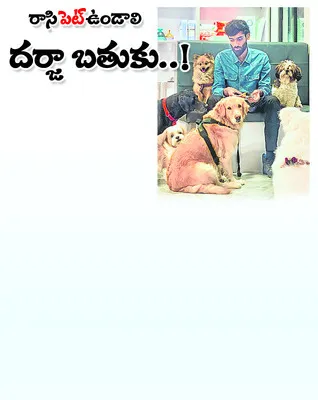 గెలుప