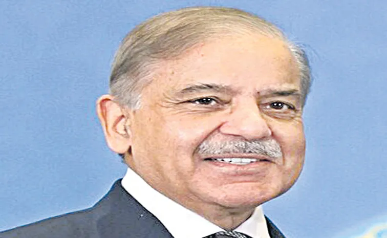 Shehbaz Sharif Pledges to Surpass India Economically