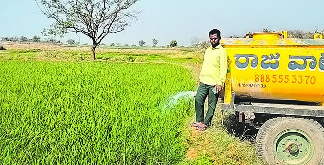 వరిపంటకు ట్యాంకర్‌ నీరే దిక్కు 